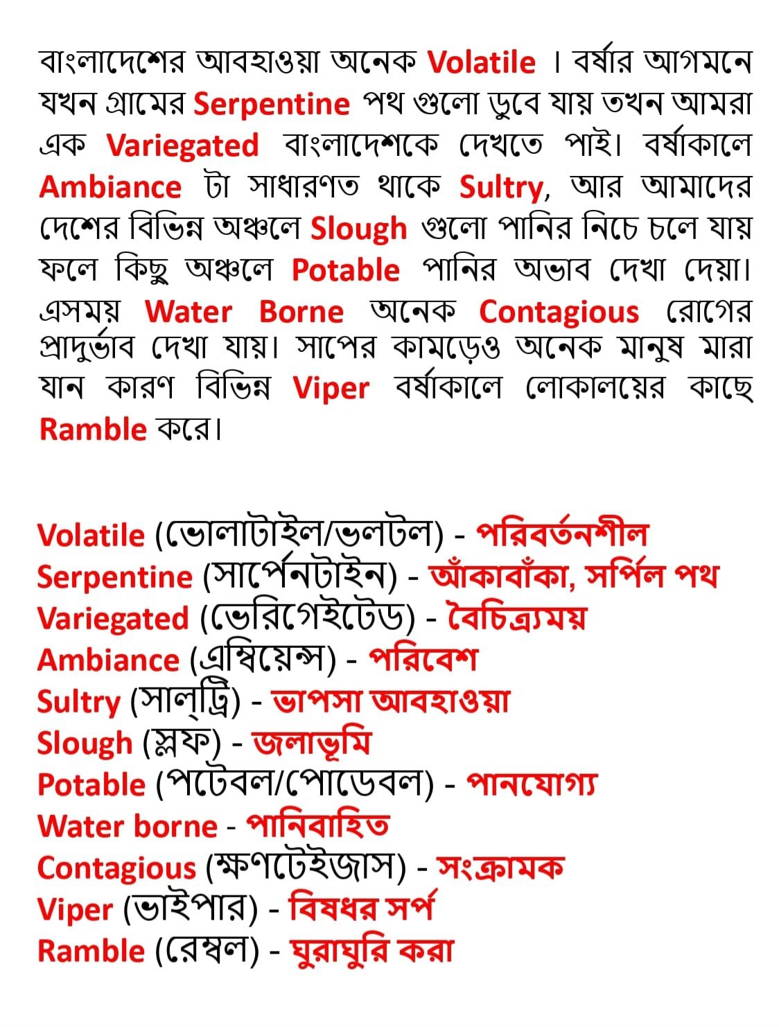 IMG-20250209-WA0002(1)